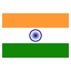 INR icon