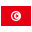 TND icon