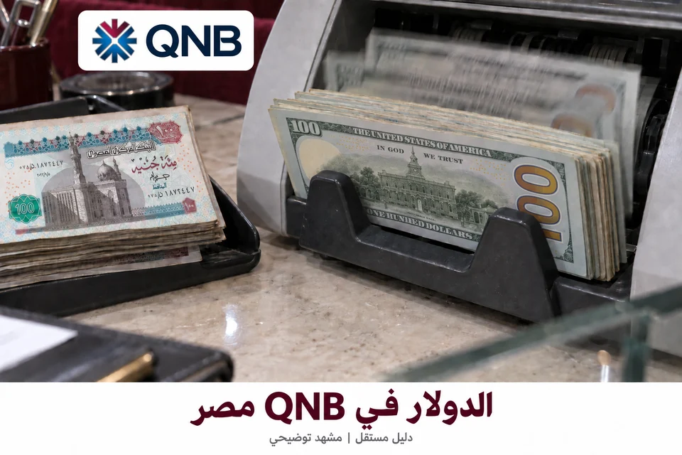 الدولار والجنيه المصري مع هوية QNB مصر — مشهد توضيحي مولّد